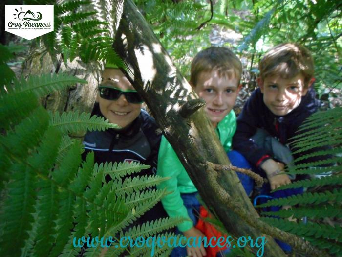 colonie toussaint nature